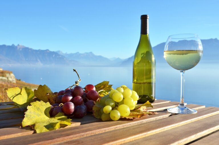 Best 12 Wineries in Carmel Valley CA: Top Tasting Rooms and Vineyards to Visit