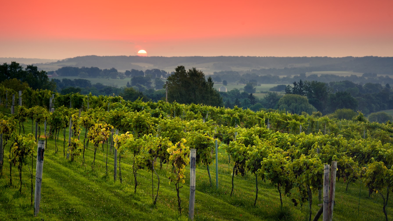 galena il wine tour