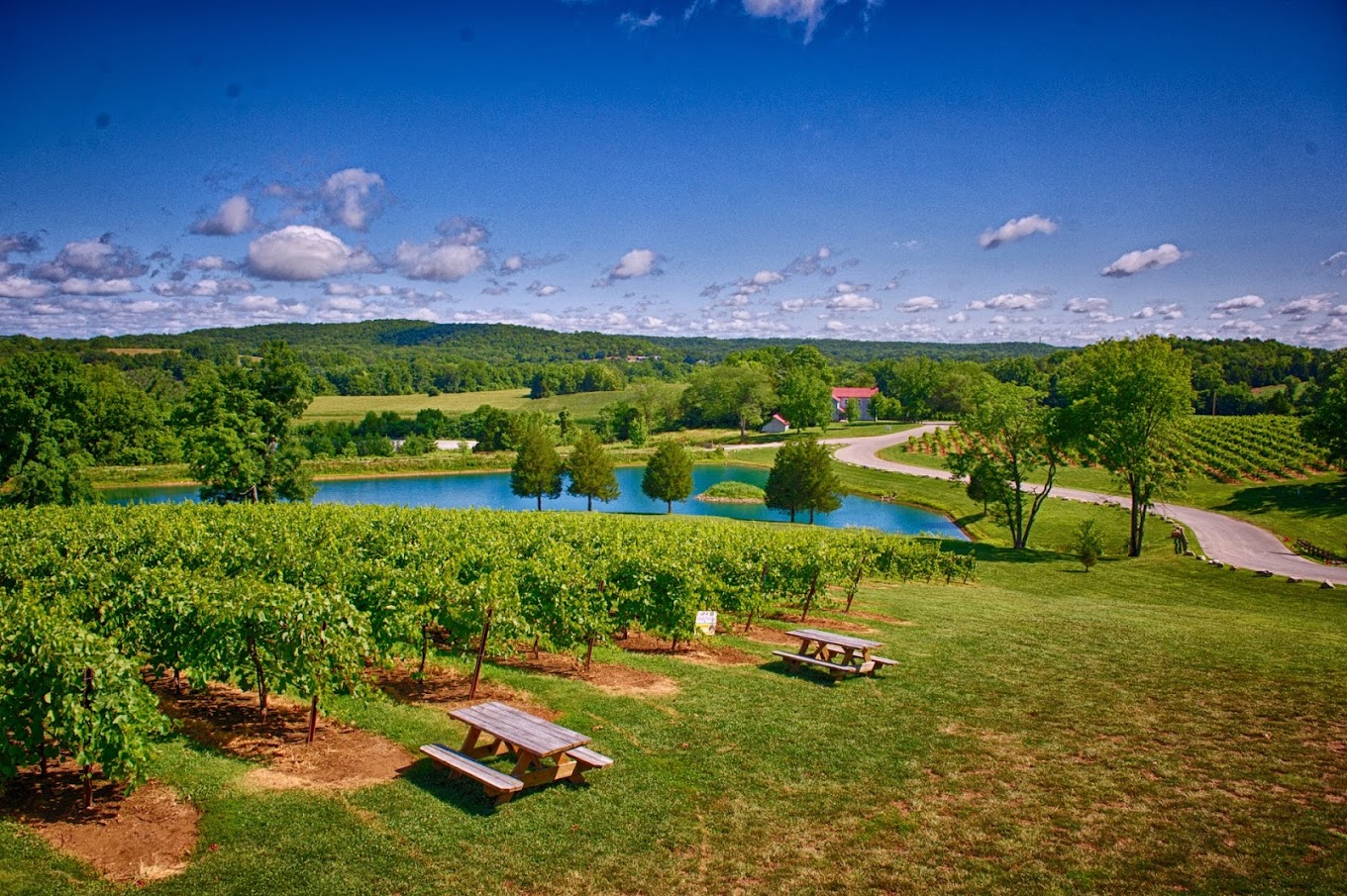 Best 14 Wineries in St. Louis MO: A Guide to the Top Vineyards in the ...