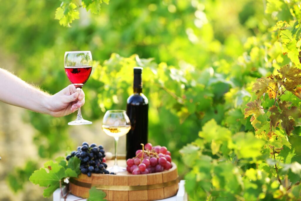 Best 11 Wineries in North Dakota: A Guide to the Top Vineyards and ...