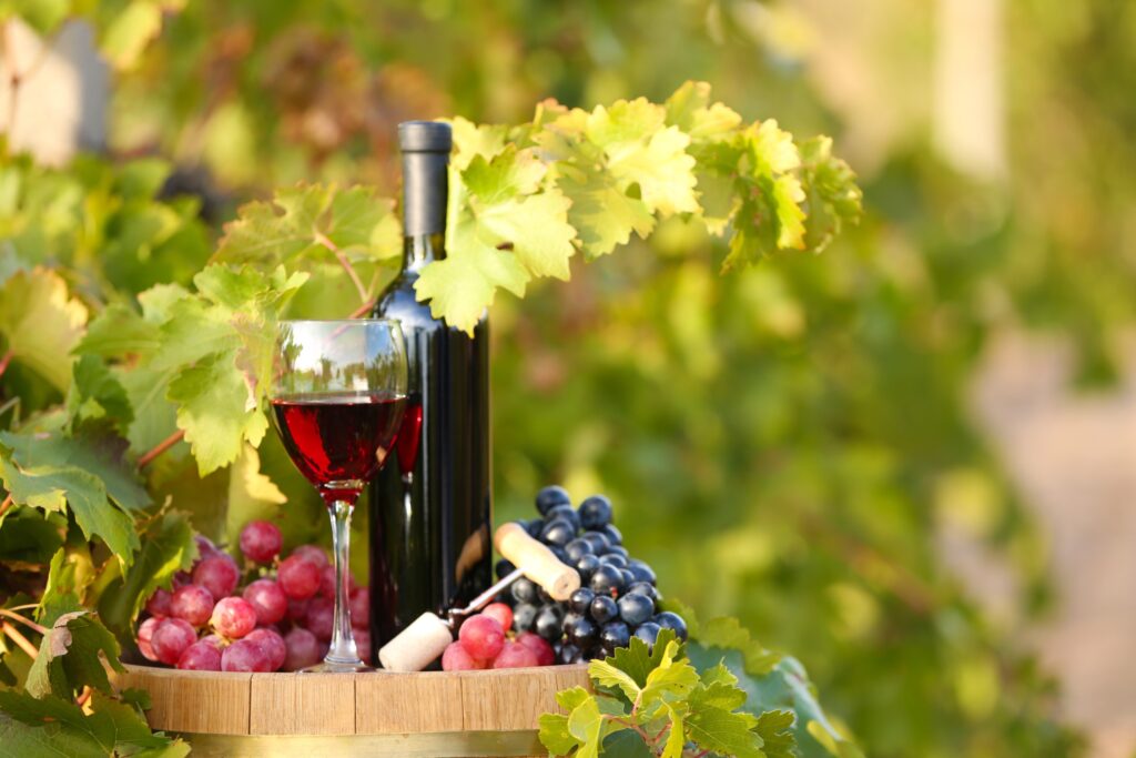 Best 5 Wineries in Augusta MO: A Guide to the Top Vineyards in the Area ...