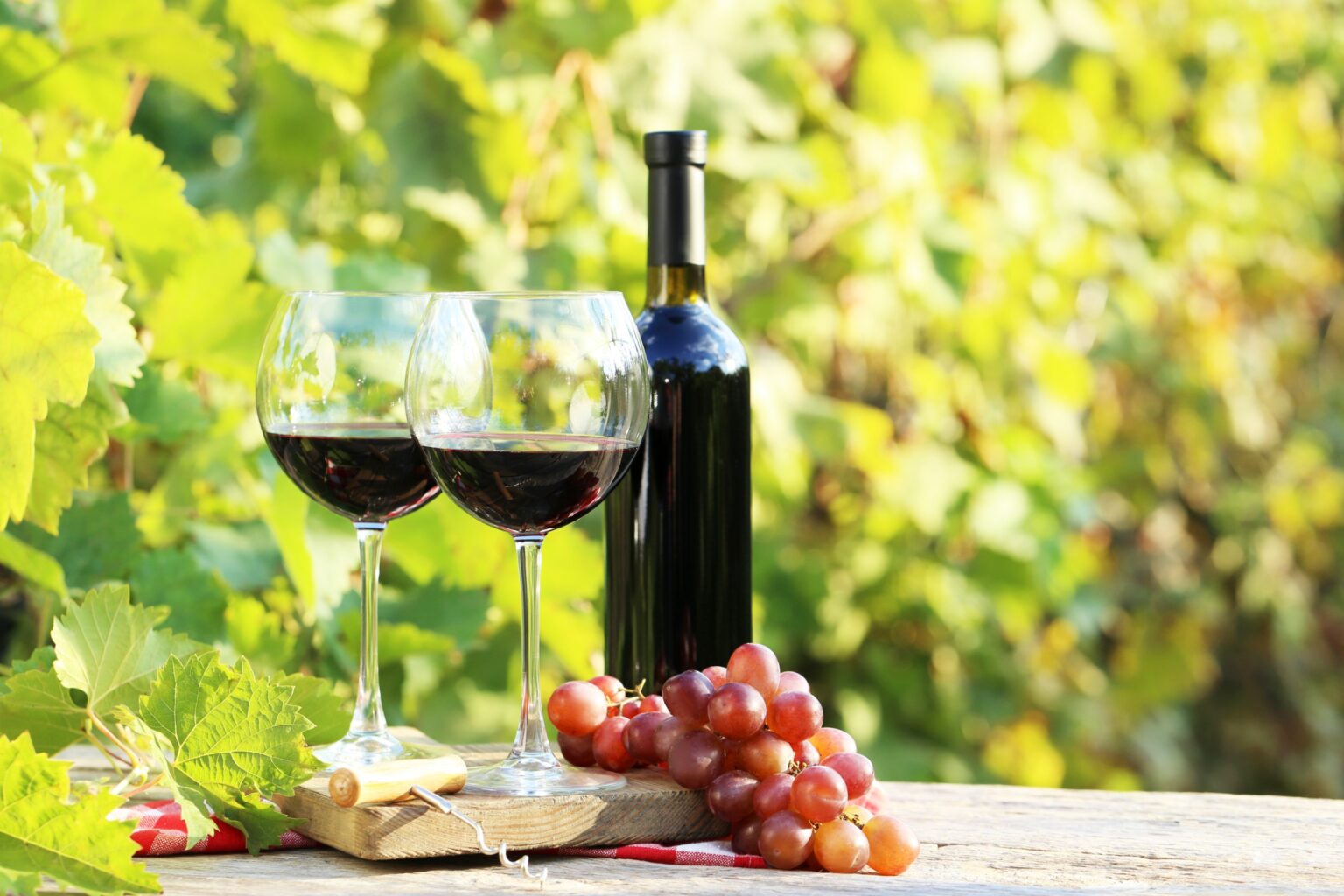 Best 10 Wineries in Orange County NY: A Guide to the Top Vineyards in ...